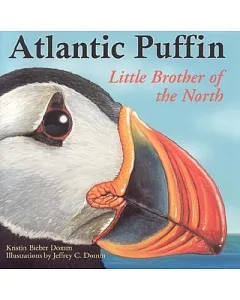 Atlantic Puffin: Little Brother of the North