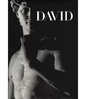Michelangelo’s David: From Symbol to Myth