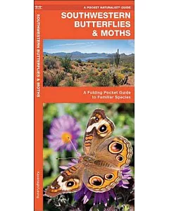 Southwestern Butterflies: An Introduction to Familiar Species