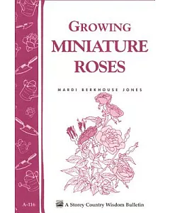 Growing Miniature Roses