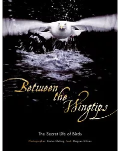 Between the Wingtips: The Secret Life of Birds
