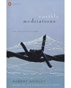 Earthly Meditations: New and Selected Poems