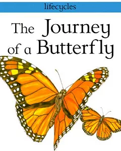 The Journey of a Butterfly