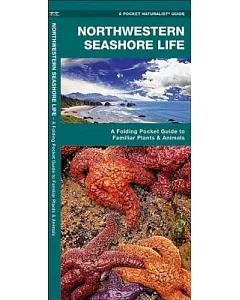 Northwestern Seashore Life: A Folding Pocket Guide to Familiar Plants & Animals