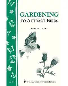 Gardening to Attract Birds