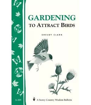 Gardening to Attract Birds