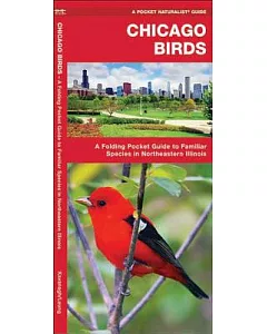 Chicago Birds: A Folding Pocket Guide to Familiar Species in Northeastern Illinois
