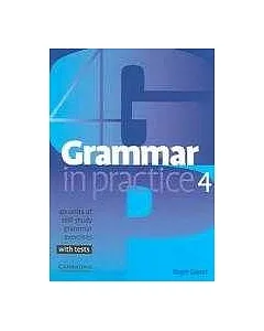 Grammar In Practice 4