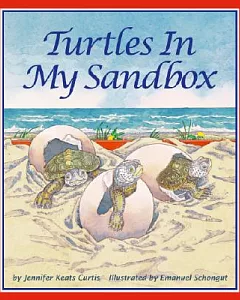 Turtles in My Sandbox