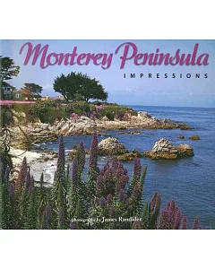 Monterey Peninsula Impressions