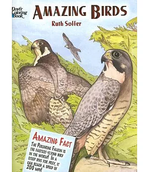 Amazing Birds