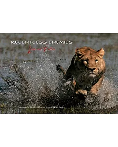 Relentless Enemies: Lions And Buffalo