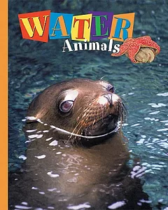 Water Animals: Seals, Squids, Fish, & More!