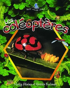 Les Coleopteres / The Life Cycle of a Beetle