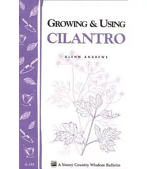 Growing and Using Cilantro