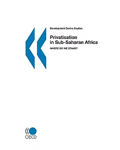 Privatisation in Sub-Saharan Africa: Where Do We Stand