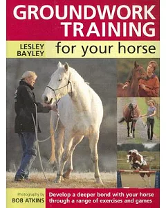 Groundwork Training for Your Horse
