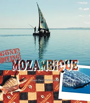 Gone Diving Mozambique