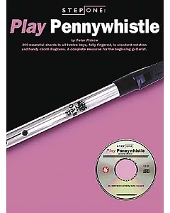 Step One Play Pennywhistle