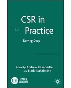 Csr in Practice: Delving Deep