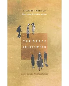 The Space In-Between: Essays on Latin American Culture