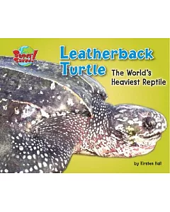 Leatherback Turtle: The World’s Heaviest Reptile
