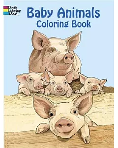 Baby Animals Book