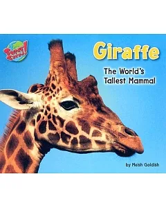 Giraffe: The World’s Tallest Mammal