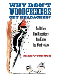 Why Don’t Woodpeckers Get Headaches: And Other Answers to Bird Questions You Know You Want to Ask