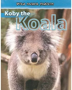 Koby the Koala