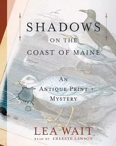 Shadows on the Coast of Maine