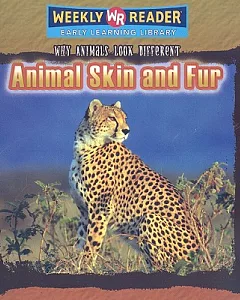 Animal Skin And Fur