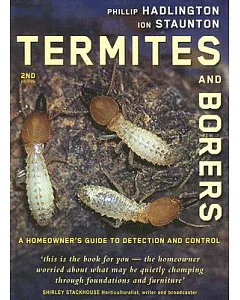 Termites and Borers: A Homeowner’s Guide to Detection and Control