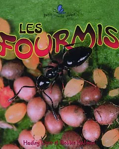Les Fourmis / the Life Cycle of an Ant