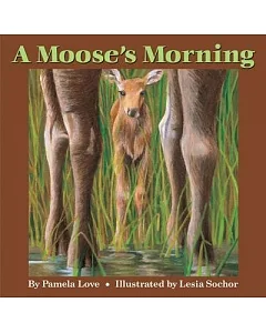 A Moose’s Morning