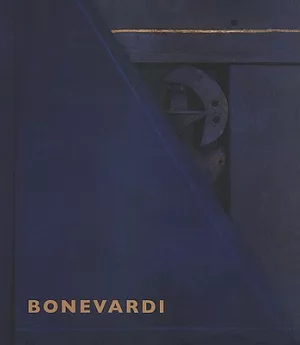 Bonevardi: Chasing Shadows-Constructing Art