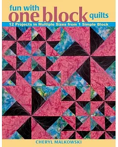 Fun With One Block Quilts: 12 Projects in Multiple Sizes from 1 Simple Block