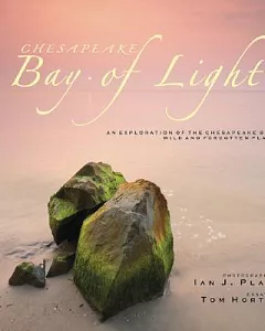 Chesapeake Bay of Light: An Exploration of the Chesapeake Bay’s Wild and Forgotten Places