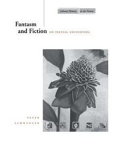 Fantasm and Fiction: On Textual Envisioning