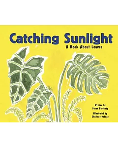 Catching Sunlight: A Book About Leaves