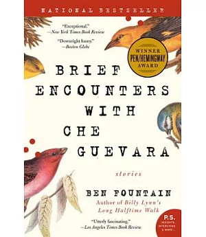 Brief Encounters With Che Guevara: Stories