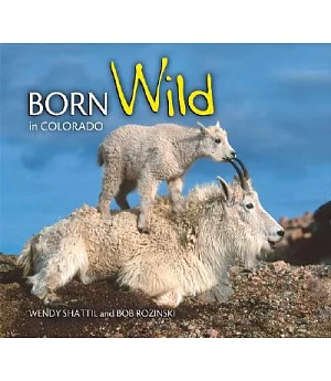 Born Wild in Colorado