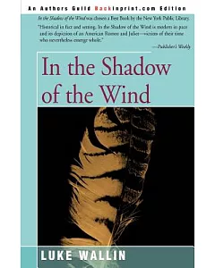 In the Shadow of the Wind