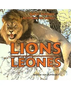 Lions / Leones
