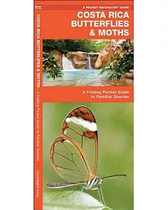 Costa Rica Butterflies & Moths: An Introduction to Familiar Species