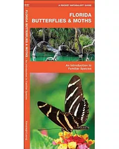 Florida Butterflies & Moths: An Introduction to Familiar Species