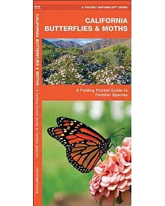 California Butterflies & Moths: An Introduction to Familiar Species