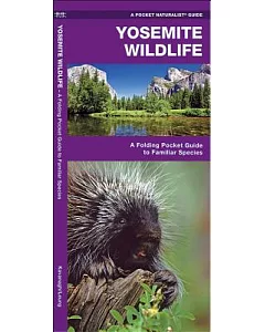 Yosemite Wildlife: An Introduction to Familiar Species of the Yosemite Area