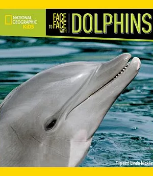 Face to Face With Dolphins