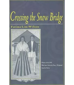 Crossing the Snow Bridge